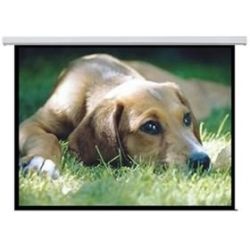 Brateck PSAA135 135 (3Mx1.68M) Electric Projector Screen (16:9 ratio)