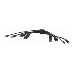 Belkin Dual DVI to HDMI and DP to DP (DVI/DP/USB A/AUD CBL to DP/HDMI/USB B/AUD CBL)1.8M