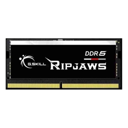 G.Skill F5-5600S4040A32GX1-RS 32GB (1 x 32GB)/ DDR5 5600 MT/s / Timings 40-40-40-89/ Voltage 1.1V/XMP 3.0