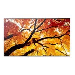 Sharp PN-M552 55" Large Display UHD