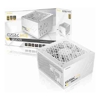 Antec Internal Power Supply (PSU) - Antec GSK850 V2 WH 80+ Gold Fully | ITSpot Computer Components