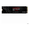 SanDisk Solid State Drives (SSDs) - SanDisk Optimus GX PRO 8100 1TB | ITSpot Computer Components